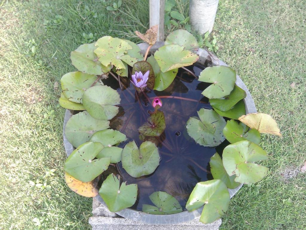 Angel Lanta Bungalow Ko Lanta المظهر الخارجي الصورة