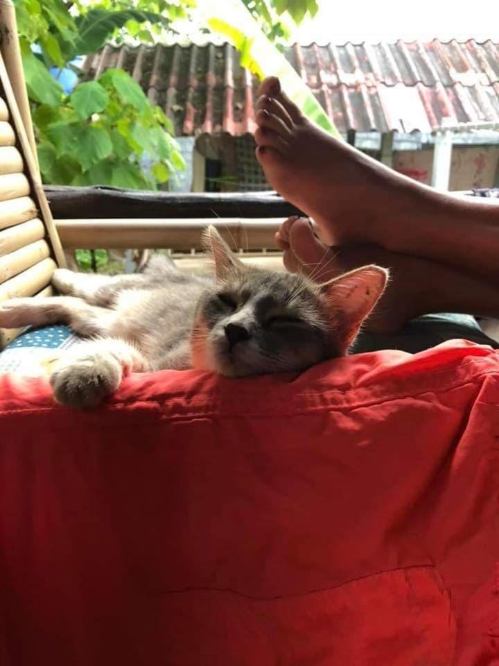 Angel Lanta Bungalow Ko Lanta المظهر الخارجي الصورة